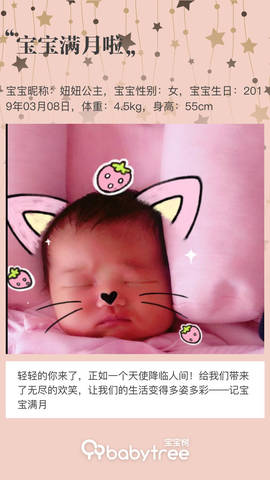 journal_insert_pic_1209946081