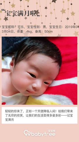 journal_insert_pic_1209859759