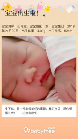 journal_insert_pic_1209846259