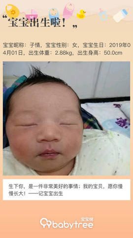 journal_insert_pic_1210901737