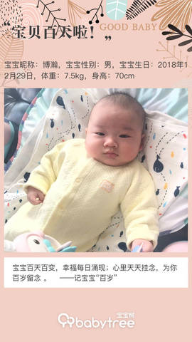 journal_insert_pic_1210407764