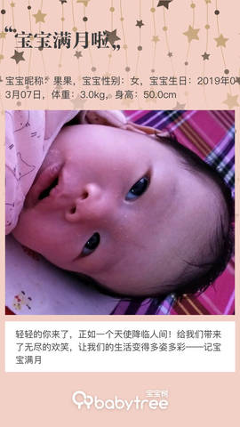 journal_insert_pic_1210482948