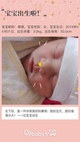 journal_insert_pic_1210480996