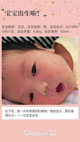 journal_insert_pic_1210560889