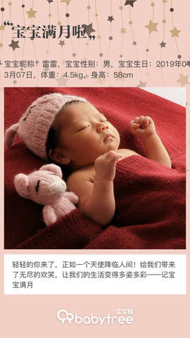 journal_insert_pic_1210983794