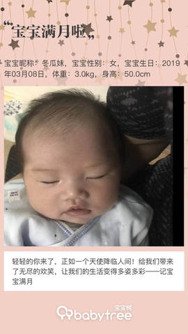 journal_insert_pic_1211601408