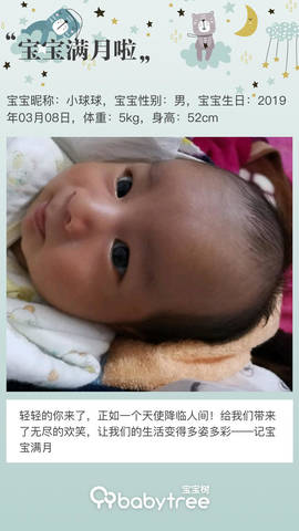 journal_insert_pic_1212824924