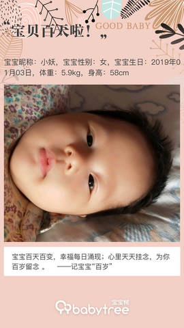 journal_insert_pic_1212788935
