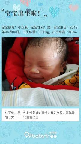 journal_insert_pic_1212379356