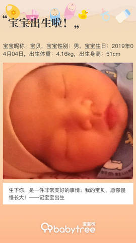 journal_insert_pic_1212630813