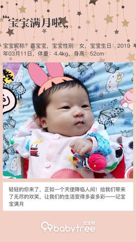 journal_insert_pic_1212621238