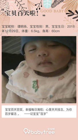 journal_insert_pic_1213126712