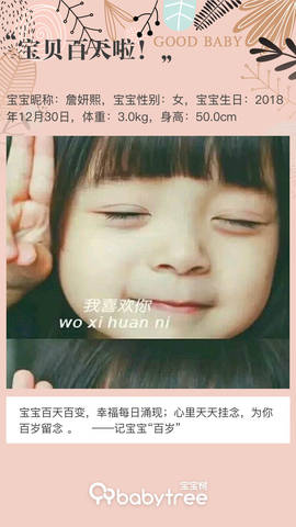 journal_insert_pic_1213547356