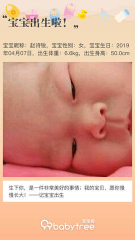 journal_insert_pic_1213361344