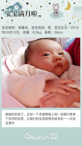 journal_insert_pic_1213088603