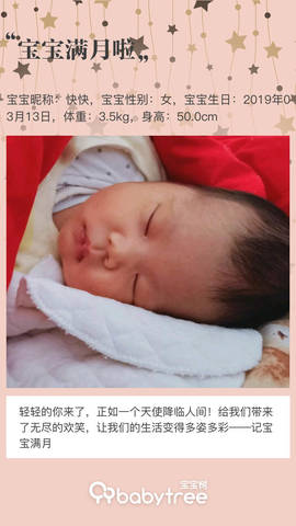 journal_insert_pic_1213934185