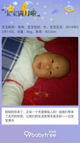 journal_insert_pic_1214055163