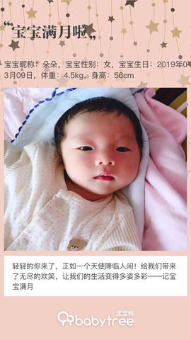 journal_insert_pic_1214784252
