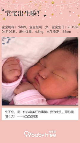journal_insert_pic_1215121894