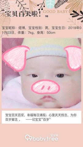 journal_insert_pic_1215387395