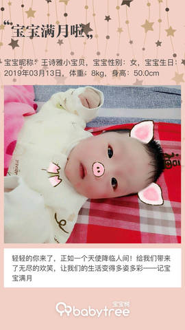 journal_insert_pic_1215106973