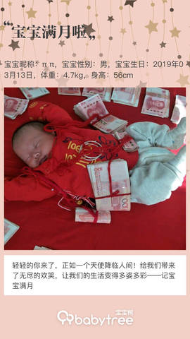 journal_insert_pic_1215118750