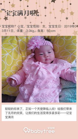 journal_insert_pic_1215498372