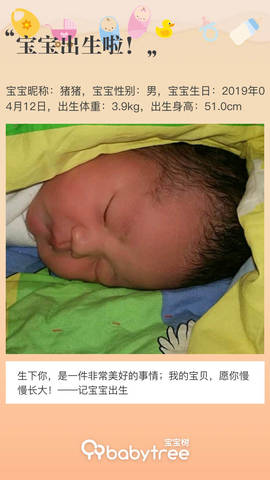 journal_insert_pic_1215640408