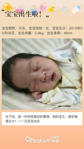 journal_insert_pic_1215767896