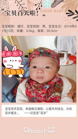 journal_insert_pic_1217018715
