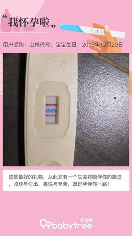 journal_insert_pic_1217511170
