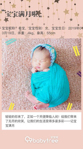journal_insert_pic_1217570123