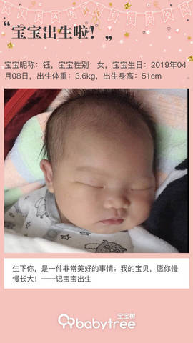 journal_insert_pic_1217815841