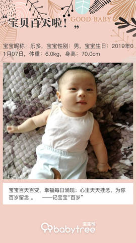 journal_insert_pic_1218531036