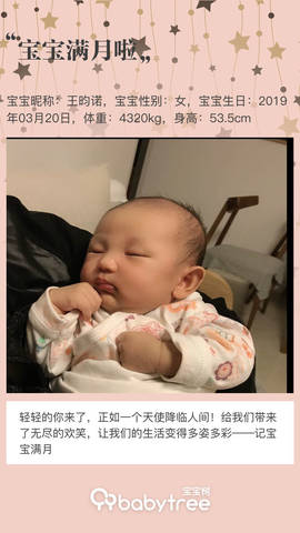 journal_insert_pic_1218168363
