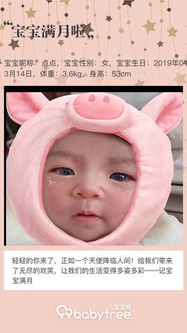 journal_insert_pic_1218640064