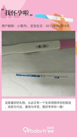 journal_insert_pic_1218777697