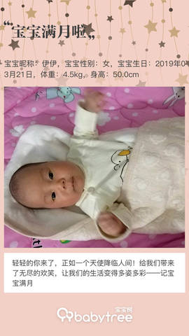 journal_insert_pic_1218945576