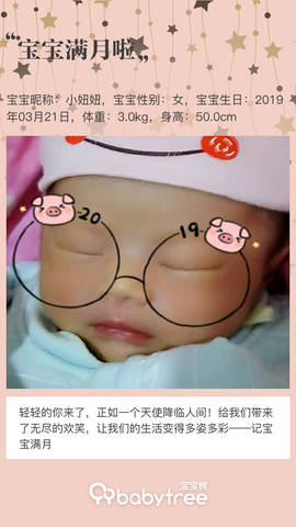 journal_insert_pic_1218876593