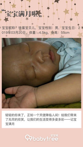 journal_insert_pic_1218915419