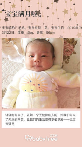 journal_insert_pic_1219034263
