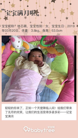 journal_insert_pic_1219378361