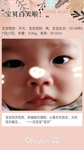journal_insert_pic_1219471811