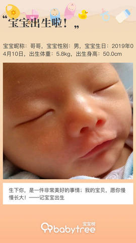 journal_insert_pic_1219358797