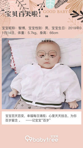journal_insert_pic_1220005598