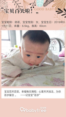 journal_insert_pic_1220117531
