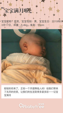 journal_insert_pic_1219926065