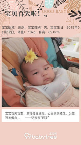 journal_insert_pic_1220755279