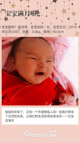 journal_insert_pic_1220902331