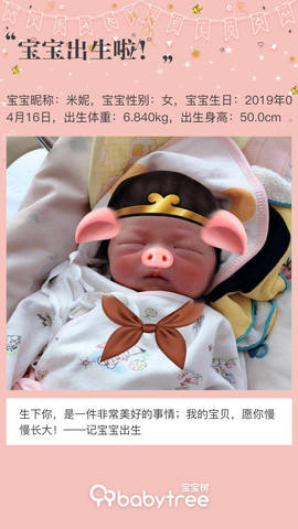journal_insert_pic_1221491399